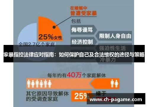 家暴指控法律应对指南：如何保护自己及合法维权的途径与策略
