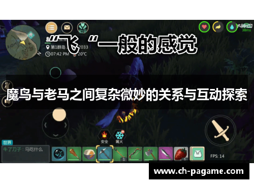 魔鸟与老马之间复杂微妙的关系与互动探索