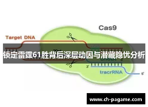 锁定雷霆61胜背后深层动因与潜藏隐忧分析