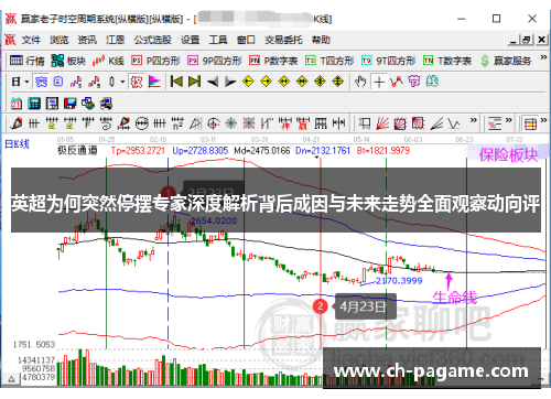 英超为何突然停摆专家深度解析背后成因与未来走势全面观察动向评