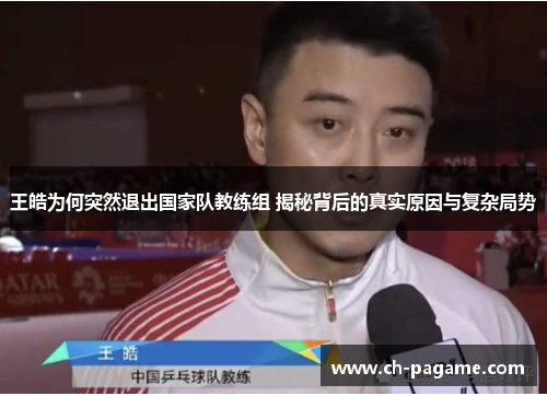 王皓为何突然退出国家队教练组 揭秘背后的真实原因与复杂局势