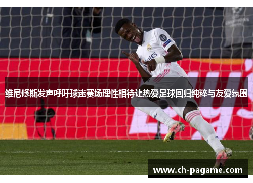 维尼修斯发声呼吁球迷赛场理性相待让热爱足球回归纯粹与友爱氛围
