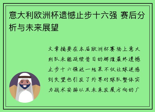 意大利欧洲杯遗憾止步十六强 赛后分析与未来展望