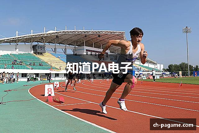 知道PA电子